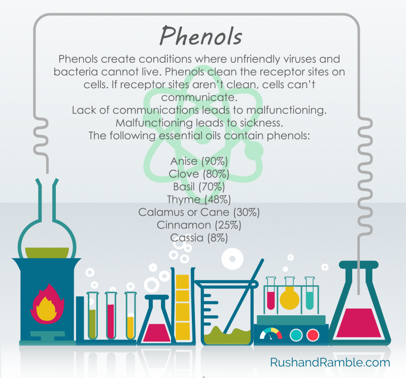 What Are Phenols