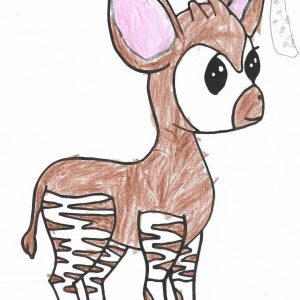 Animal Coloring Book