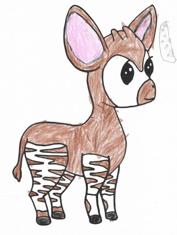 Animal Coloring Book
