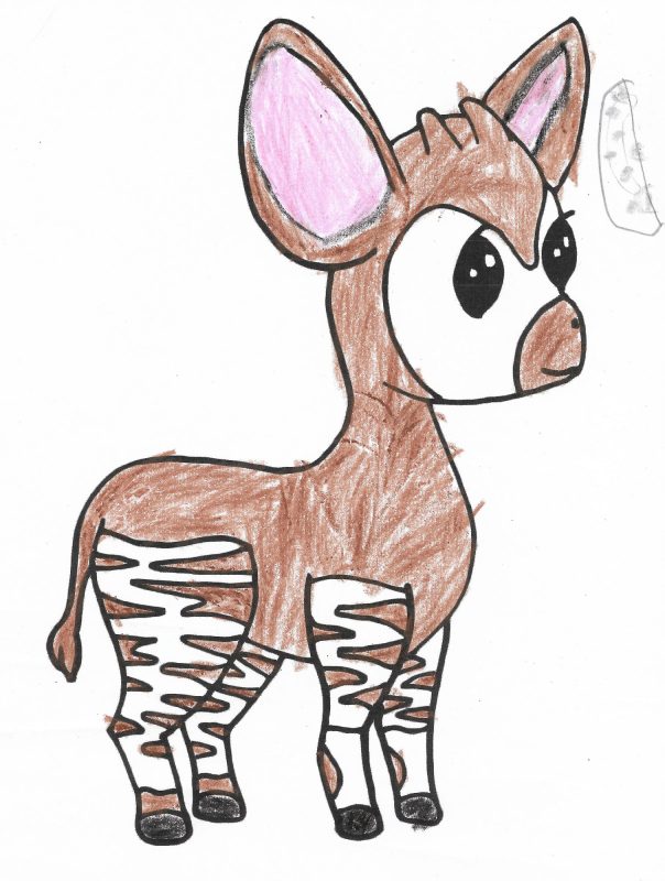 Okapi drawing