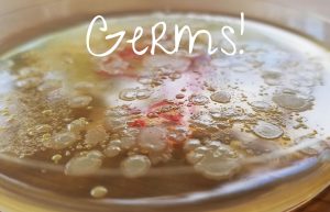 Let's Talk About Germs - Rush & Ramble